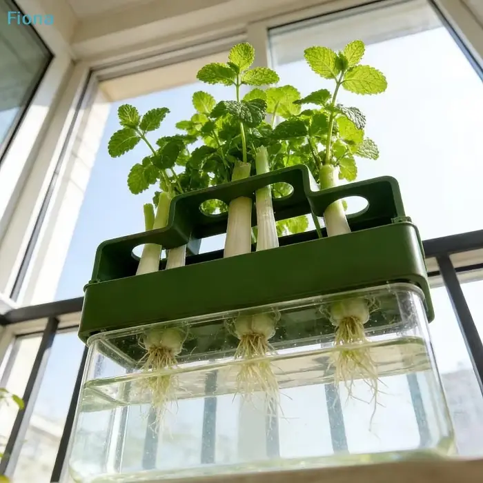 ✔ Jardinière hydroponique pour herbes