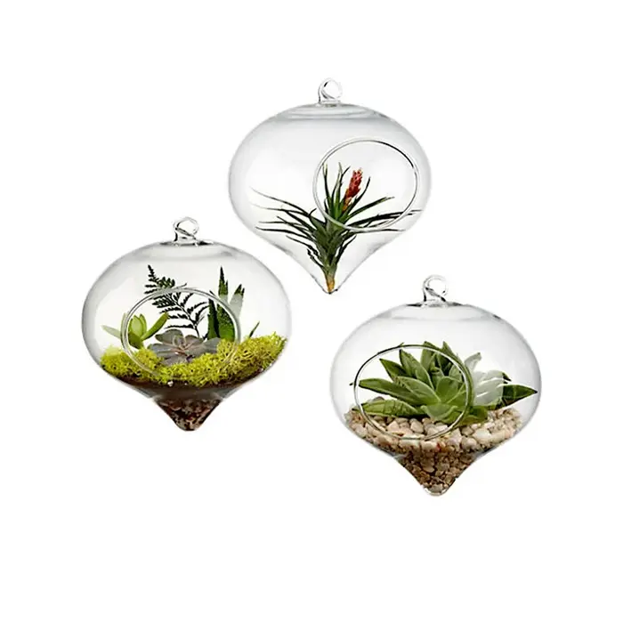 Vase à Boules de Verre de 11x9cm pour Décoration de Mariage, Terrarium, Conteneur, Pots