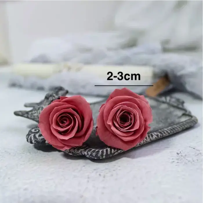 Mini Roses séchées réelles conservées