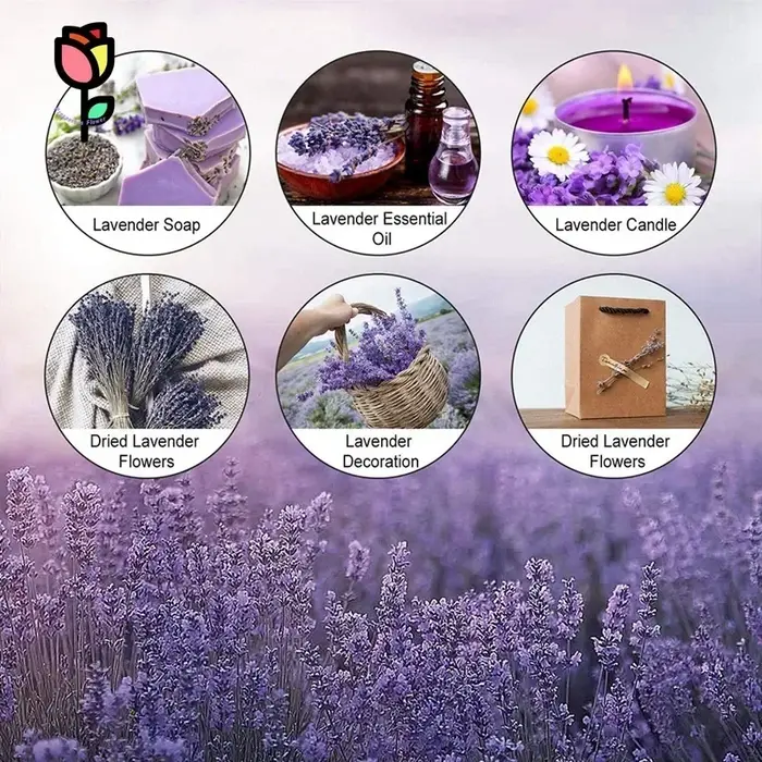 Bouquets de fleurs séchées de lavande préservée naturelle, 100 pièces, décoration de fête de mariage, fleur artificielle Pampas, décoration de noël pour la maison