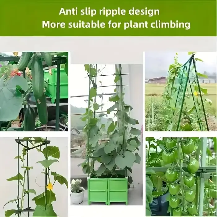 Piquets de support de plantes polyvalents, "Croissance robuste", treillis durable pour légumes et vi