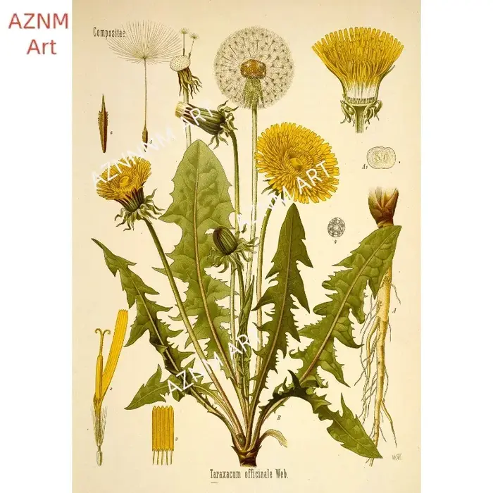 Affiches d'impression de jardin de fleurs botaniques vintage
