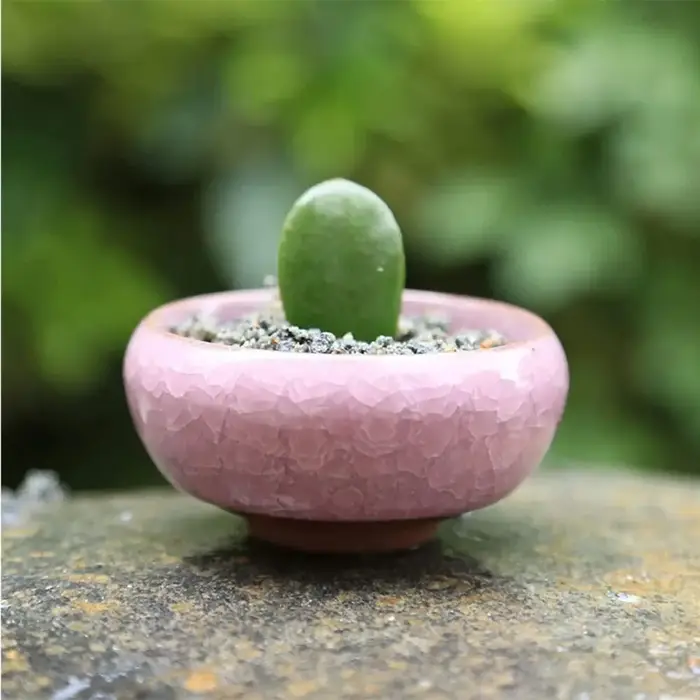 Pots de fleurs en céramique respirants effet glaçure craquelée