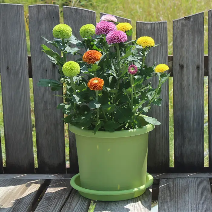 Pot de fleurs épaissi avec plateau