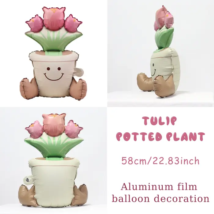 Ballon en pot de fleurs de Cactus et de tulipe mat