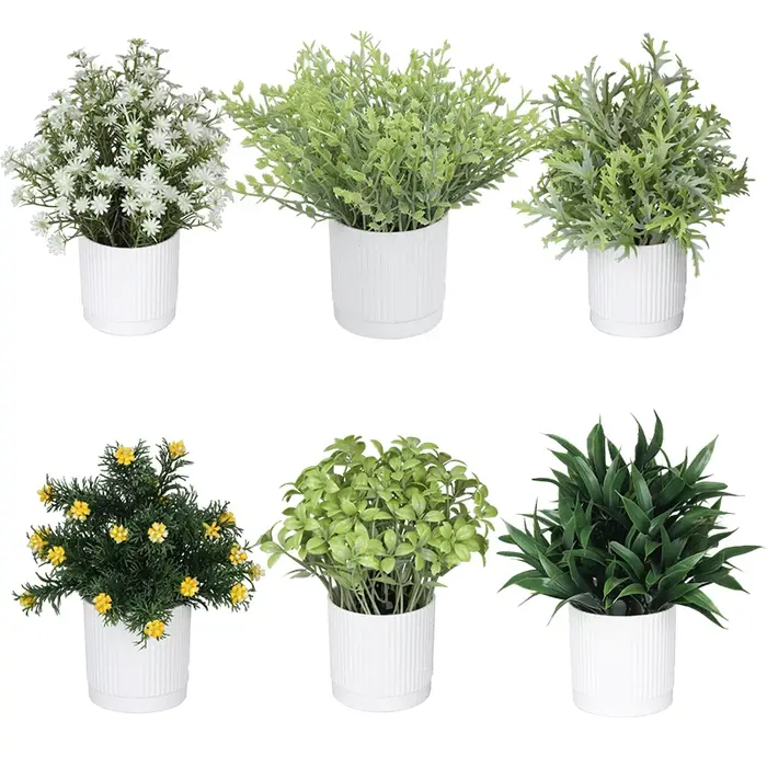 Plantes vertes bonsaï simulées