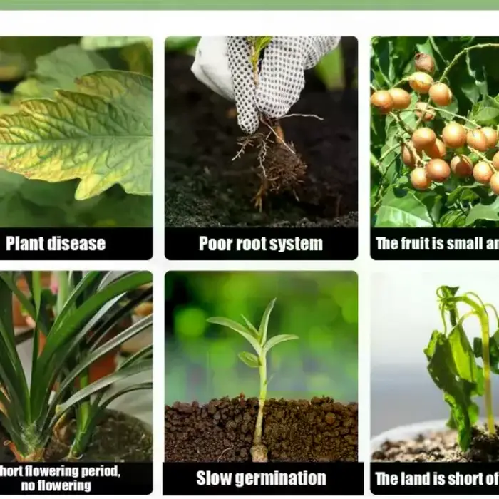Yegbong Agent nutritif pour la croissance des plantes, engrais pour plantes en pot, pelouse, plantes