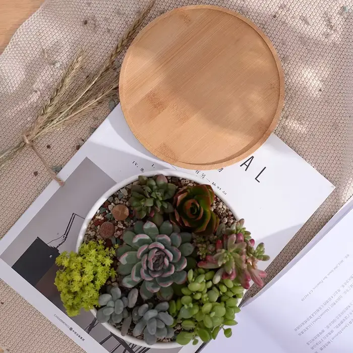 Pot de fleurs rond en céramique blanche