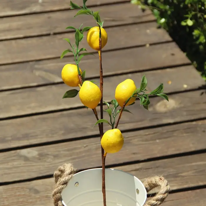 Branche de fruits de citron de luxe avec feuilles vertes
