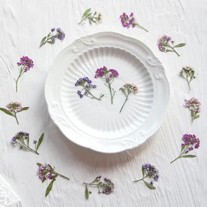 Mini fleur pressée parfumée en forme de boule de neige
