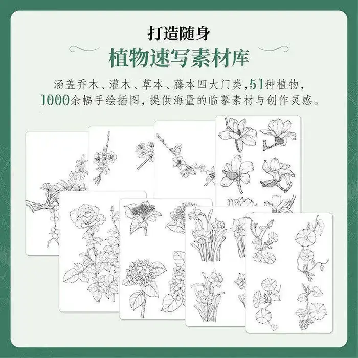 Atlas de croquis de plantes : 51 illustrations de plantes dessinées à la main avec des cartes de traçage pour débutants en illustration florale et peinture.