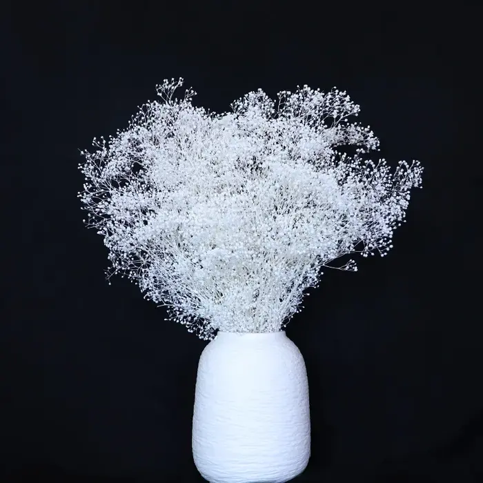 Pouvez-vous psophila Naturelle pour Décoration de ixIntérieure, Petit Ciel Étoilé, Indépendant, Bébé