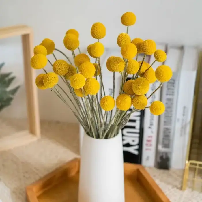 Fleur de tulipe artificielle séchée
