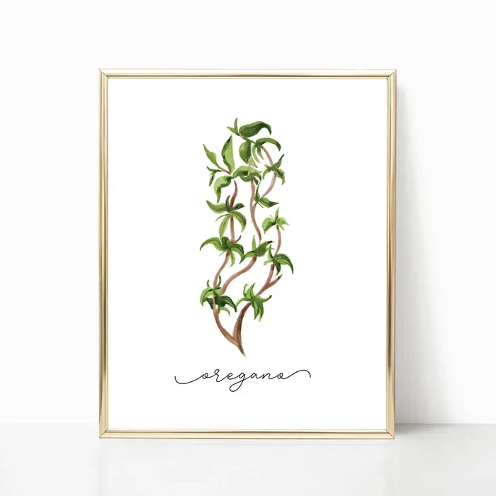 Affiches murales sur toile de Collection d'herbes