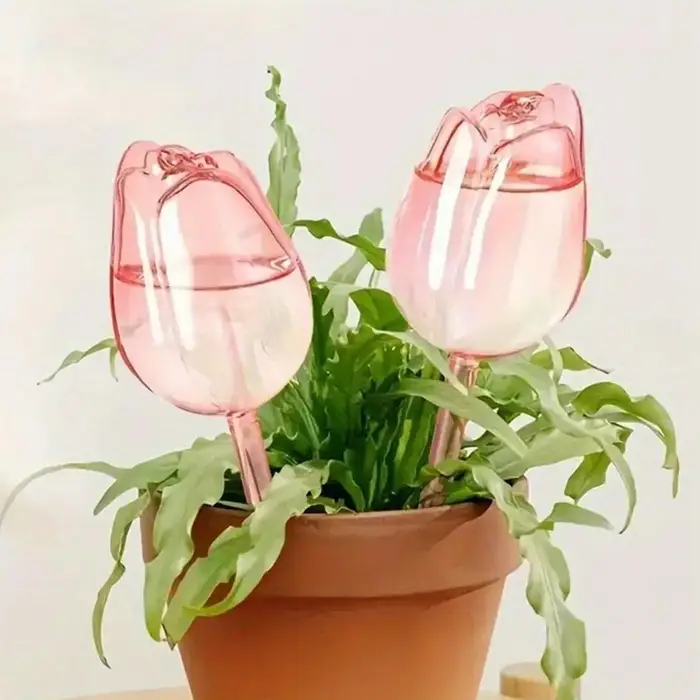 8 Globes d'arrosage automatiques pour plantes