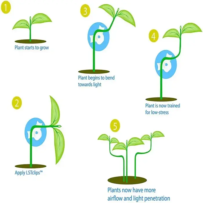 Cintreuse de Branches de plantes