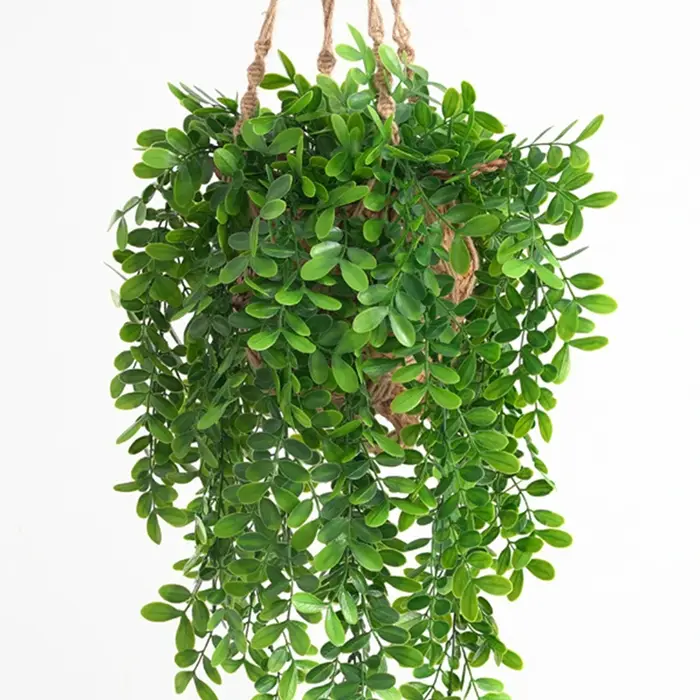 Plantes de lierre artificielles