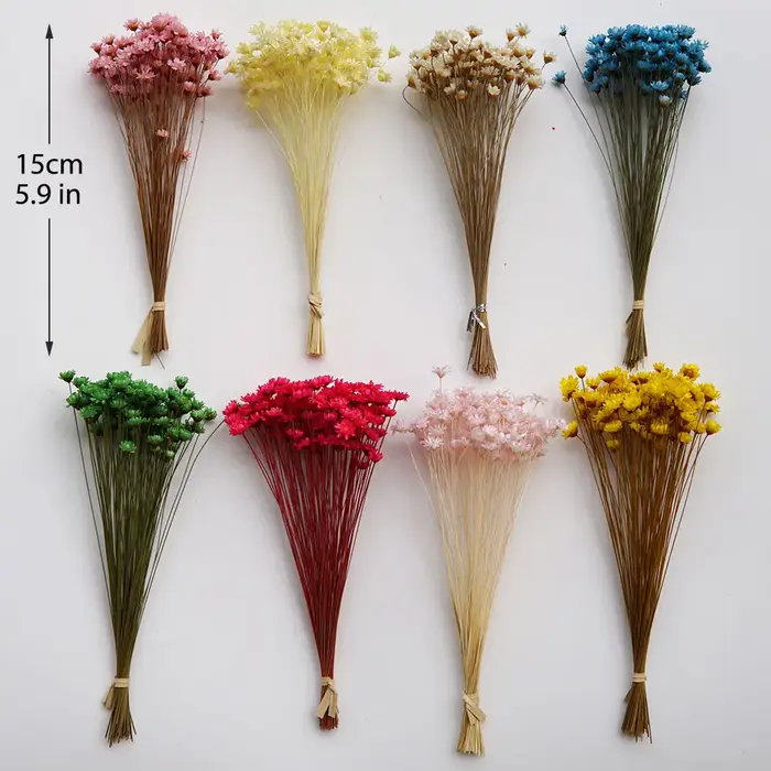 100 pièces/Mini fleurs étoilées séchées Mikado