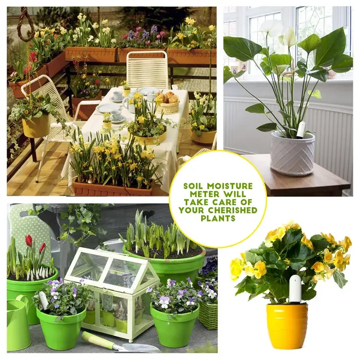 HHCC Xiaomi soins des fleurs moniteur de plantes intelligent produits