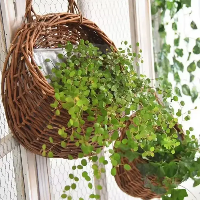 Jardinière de fleurs en rotin et osier faite à la main
