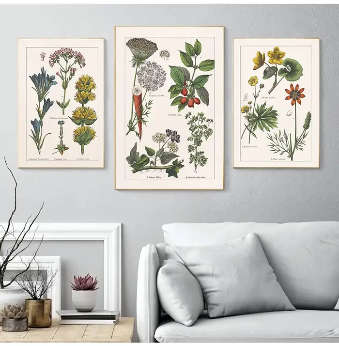 Affiches et impressions d'herbes botArabes vintage