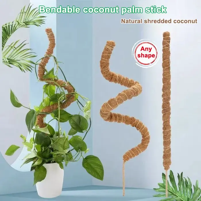1 pièces poteaux de mousse pour plantes Monstera piquets