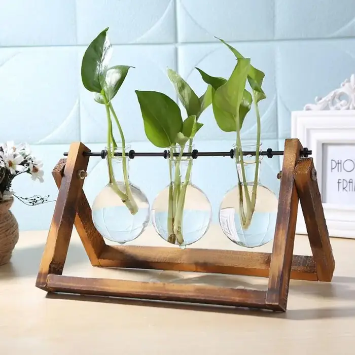 Pot de fleurs en verre avec cadre en bois