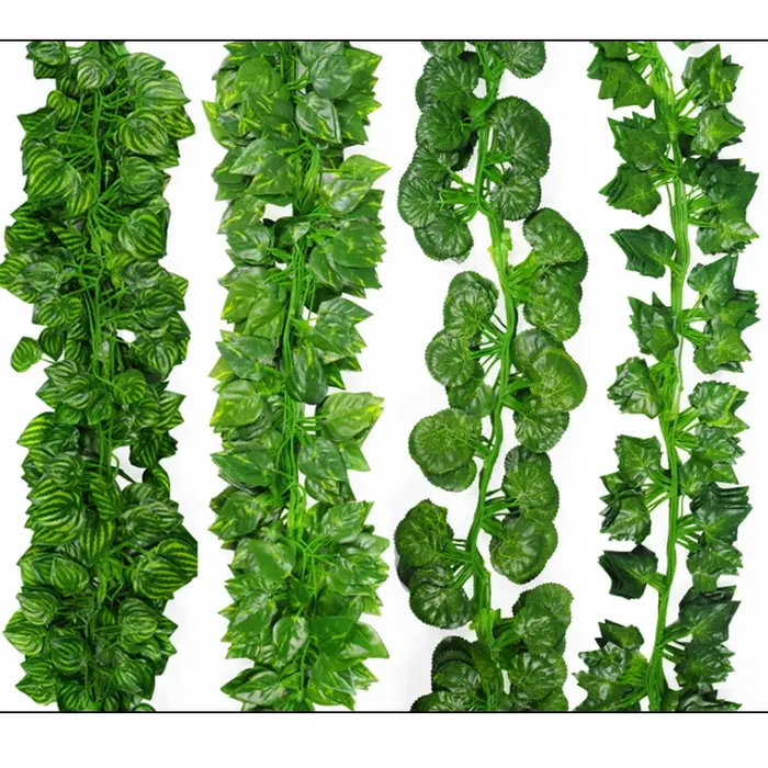 Feuilles de vigne vertes de 2 mètres