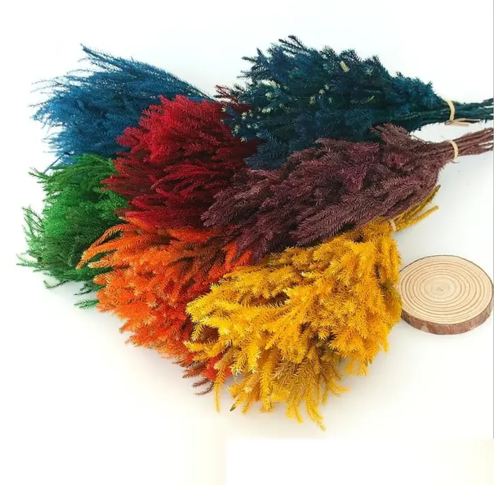 Lot de 2 branches de fleurs préservées | Branche de fleur Lycopodium japonicum pour Arrangement floral