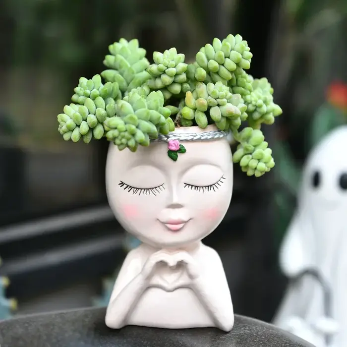 Pot de plantes succulentes Love Girl