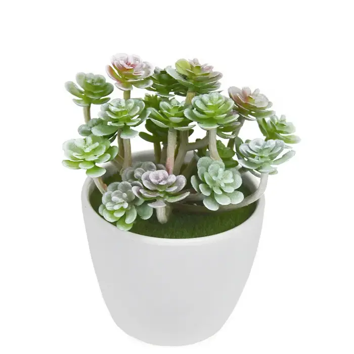 12 Pièces de Plantes Succulentes Artificielles Vertes