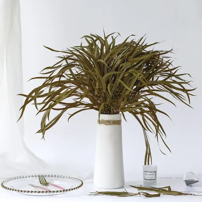 Feuilles d'eucalyptus naturelles conservées, 100g, feuilles de Millet, fleurs séchées, Bouquet de pl