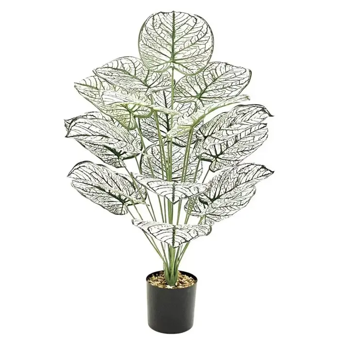 Plantes artificielles, feuille blanche et verte