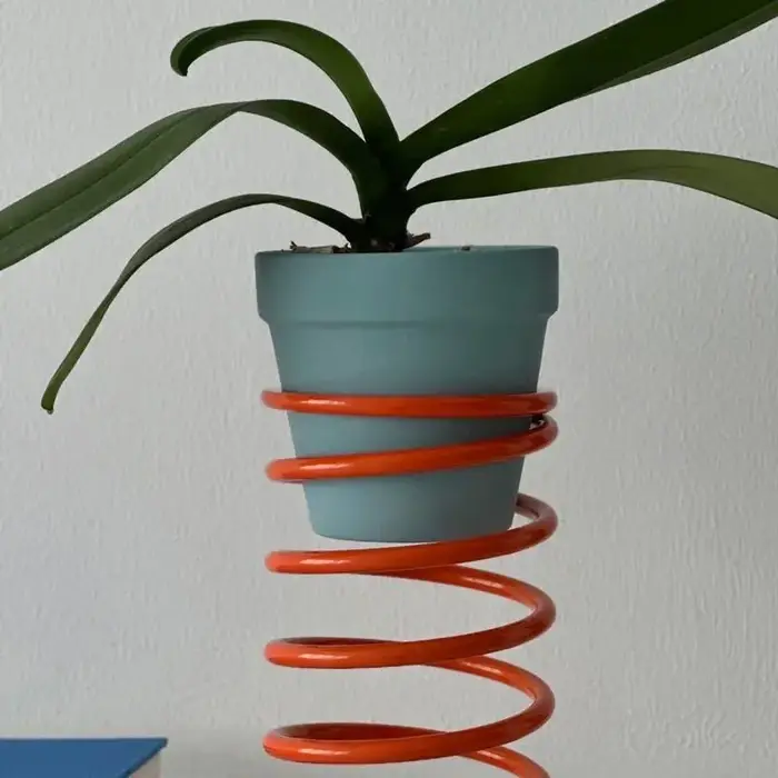 Étagères créatives pour plantes de printemps