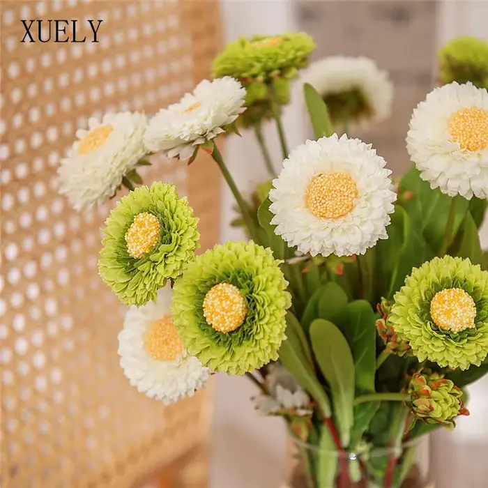 Chrysanthème à branche unique