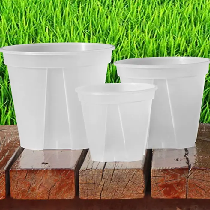 Pots de fleurs d'orchidées transparents