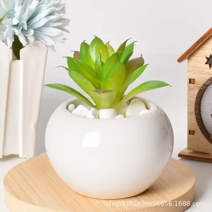 Petit pot rond en céramique pour plantes succulentes