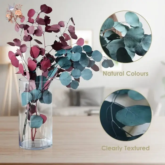 Bouquet de feuilles d'eucalyptus conservées