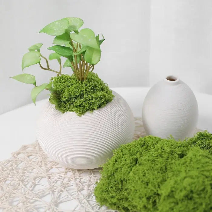 Plantes vertes artificielles