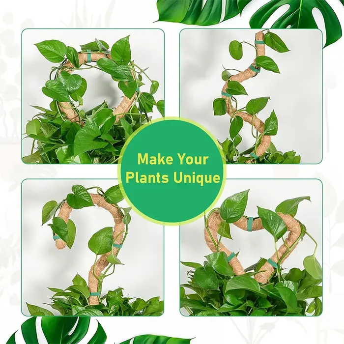 Plantes pliables Support d'escalade plante mousse coir pôle bas