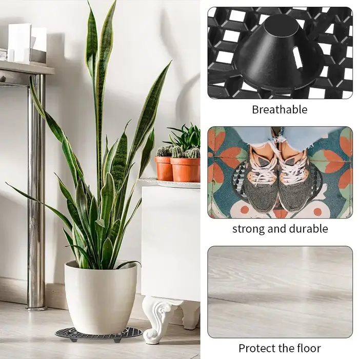 Socle de protection pour plantes