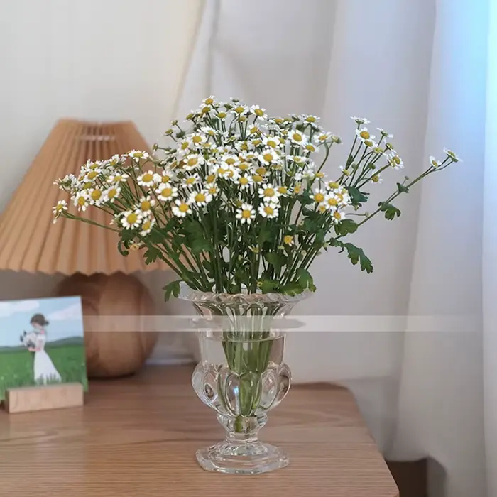Vase à Fleurs en Verre Transparent