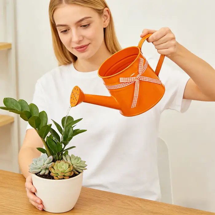 Mini arrosoir 1L en métal avec tête de pulvérisation et ruban à carreaux