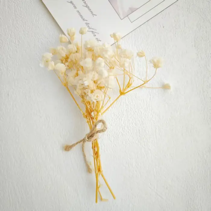Fleurs éternelles, bouquet de fleurs séchées faciles à utiliser