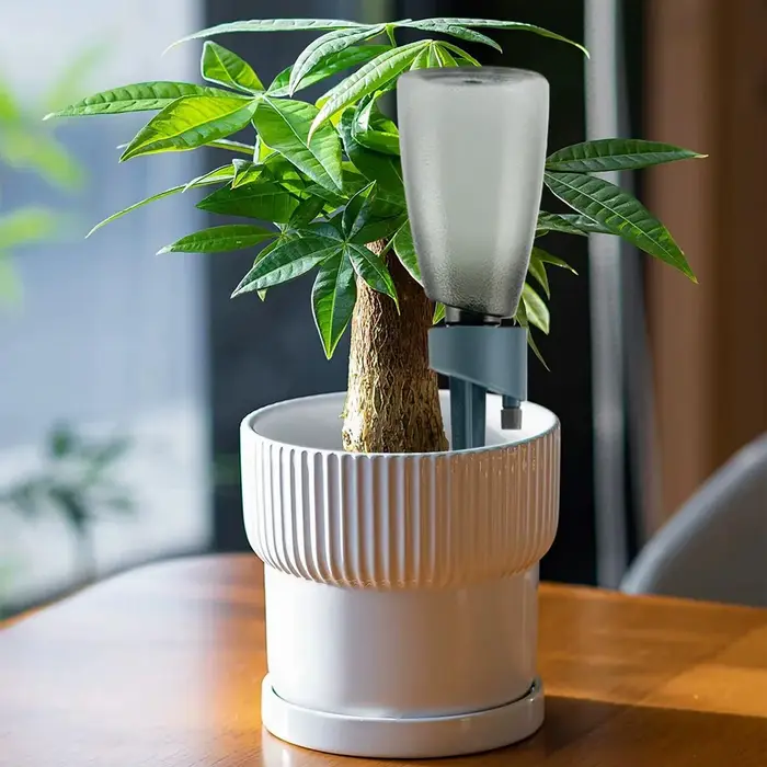 6 pièces - Arroseur automatique pour plantes et fleurs - Système d'irrigation goutte-à-goutte