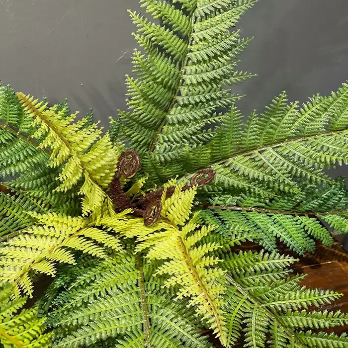 Plantes artificielles de fougère Boston