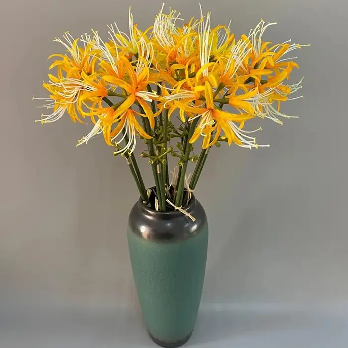 Higan – fleur de luxe à longue branche