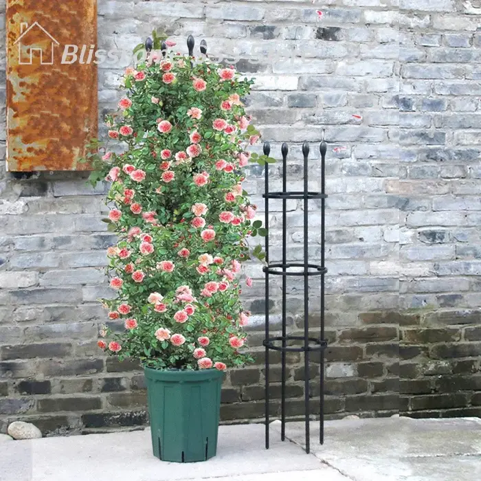 【S】1 ensemble de cages de soutien pour plantes grimpantes