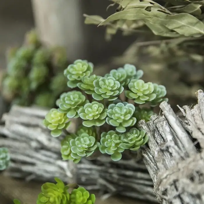 Succulentes artificielles à double face floquée