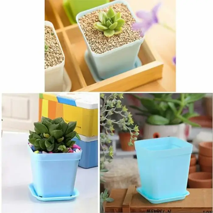 Ensemble de 10 pots de fleurs carrés en plastique avec trous de drainage et plateaux